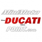 Adesivo "DUCATI" 129X22 mm