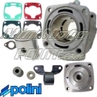 Gruppo termico compl. POLINI per motori Reverse H2O d.40 50cc